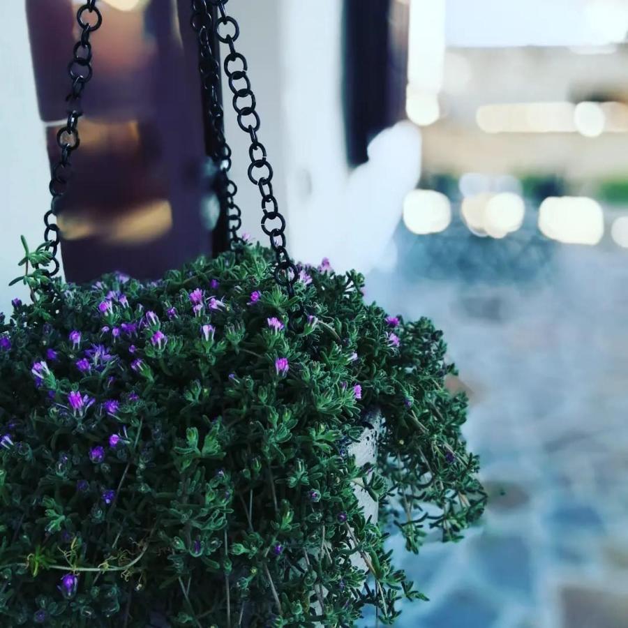 B&B Colle Tarigni Manoppello エクステリア 写真